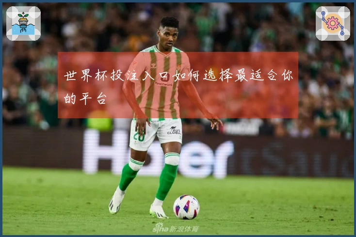 世界杯投注入口如何选择最适合你的平台