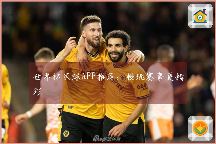 世界杯买球APP推荐，畅玩赛事更精彩