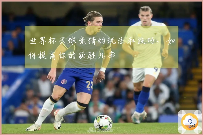 世界杯买球竞猜的玩法和技巧，如何提高你的获胜几率