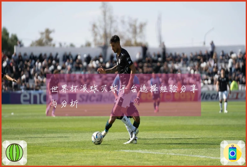 世界杯滚球买球平台选择经验分享与分析