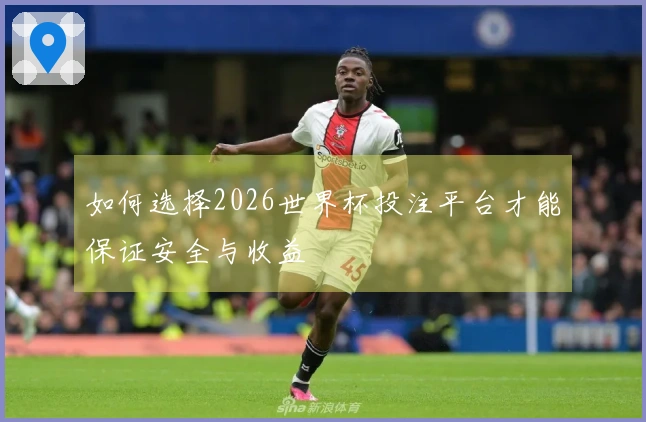 如何选择2026世界杯投注平台才能保证安全与收益