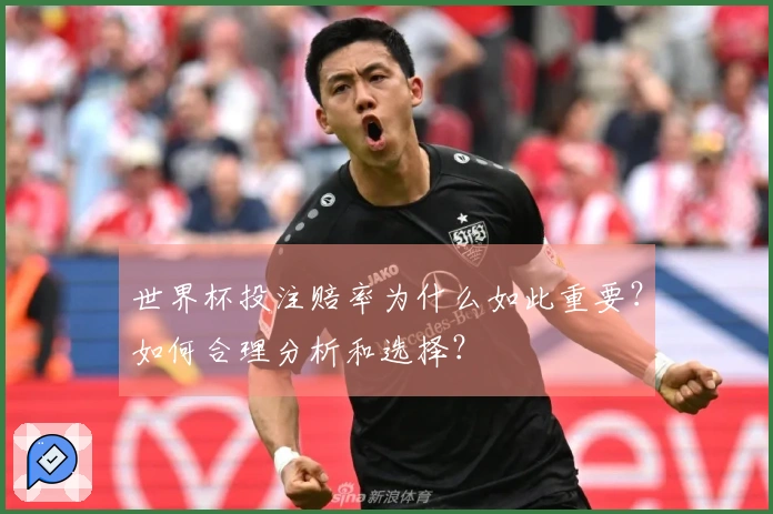 世界杯投注赔率为什么如此重要？如何合理分析和选择？