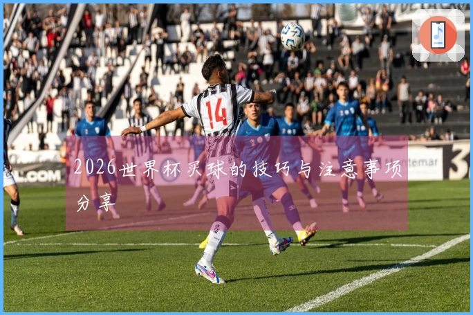 2026世界杯买球的技巧与注意事项分享