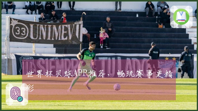 世界杯买球APP推荐，畅玩赛事更精彩