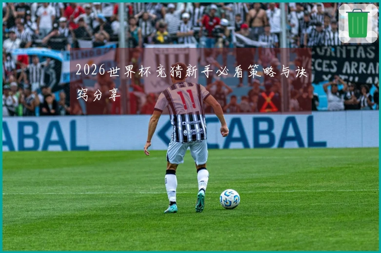 2026世界杯竞猜新手必看策略与诀窍分享