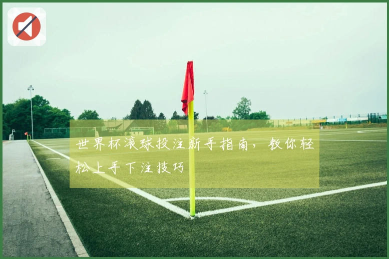 世界杯滚球投注新手指南，教你轻松上手下注技巧