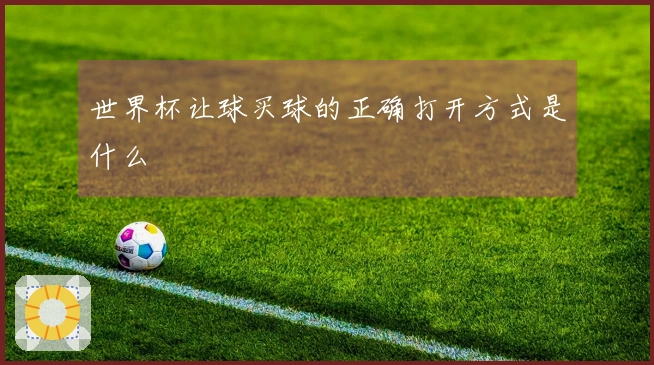 世界杯让球买球的正确打开方式是什么