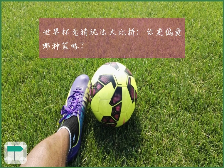 世界杯竞猜玩法大比拼：你更偏爱哪种策略？
