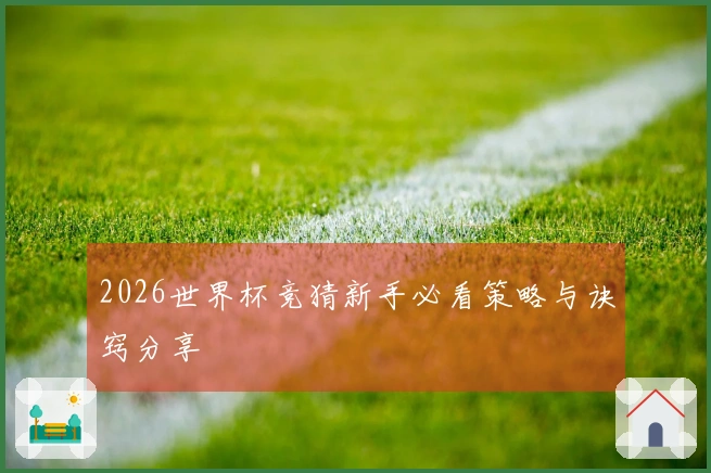 2026世界杯竞猜新手必看策略与诀窍分享