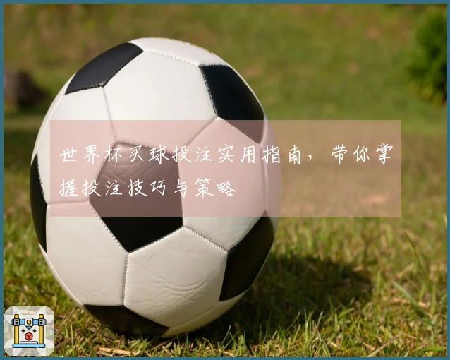 世界杯买球投注实用指南，带你掌握投注技巧与策略