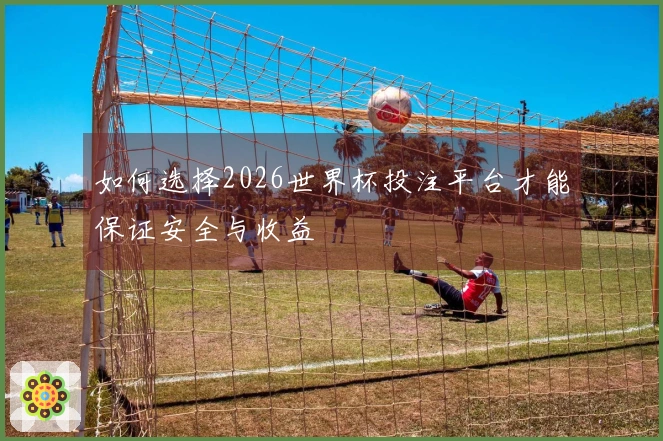 如何选择2026世界杯投注平台才能保证安全与收益
