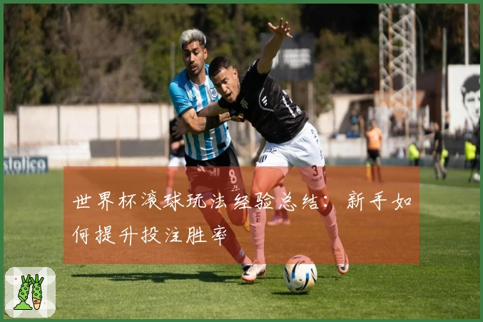 世界杯滚球玩法经验总结：新手如何提升投注胜率